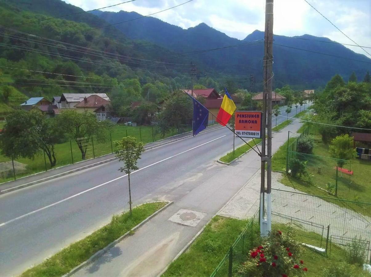 Pensiunea Ramona Brezoi Dış mekan fotoğraf